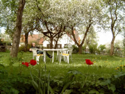 Dinkelscherben Die Villa : Garten (2)